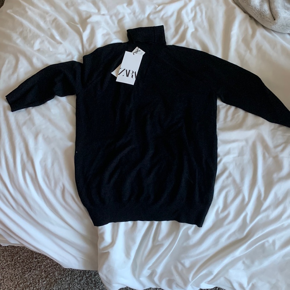 Zara turtleneck sweater